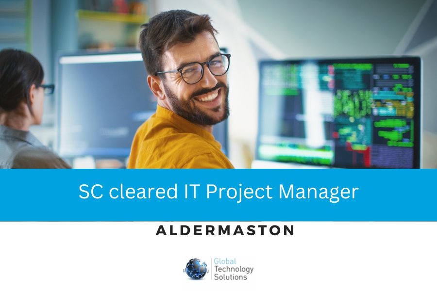 People working in IT Project Manager roles